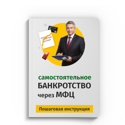 Пошаговая процедура банкротства через МФЦ в Челябинске